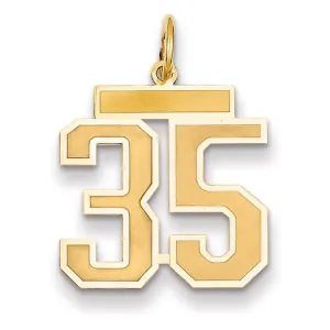 14k Yellow Gold Satin Brush Finish Medium Size Number 35 Charm Pendant