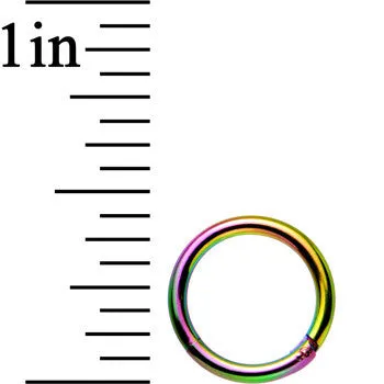 16 Gauge 5/16 Rainbow Anodized Hinged Segment Ring