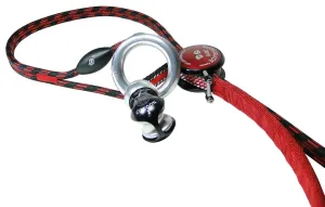 ART RopeGuide 2010 with Cocoon