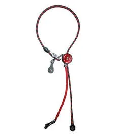 ART RopeGuide 2010 with Link