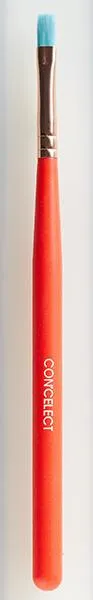 BRITNEY TOKYO x CON'CELECT NAIL ART BRUSHES