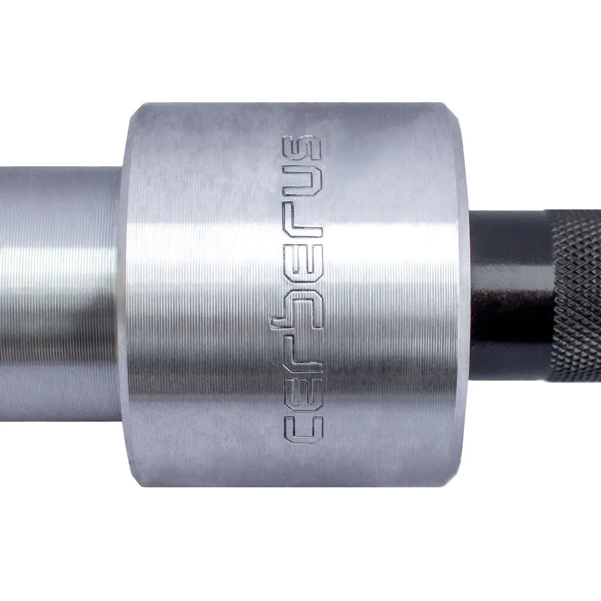 CERBERUS Squat Bar