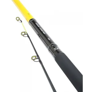 Daiwa Sandstorm Beachcaster  sss-13m
