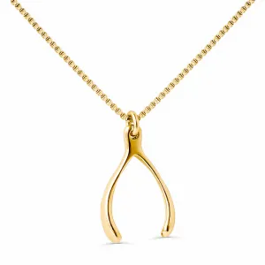 Lucky Wishbone Necklace