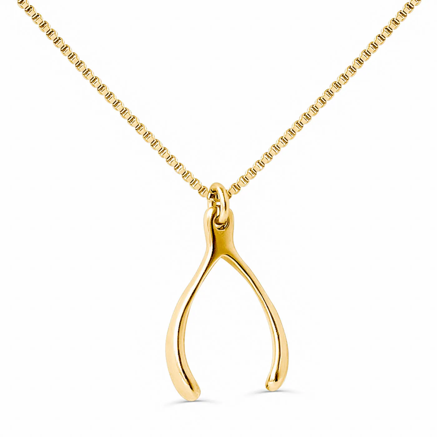 Lucky Wishbone Necklace