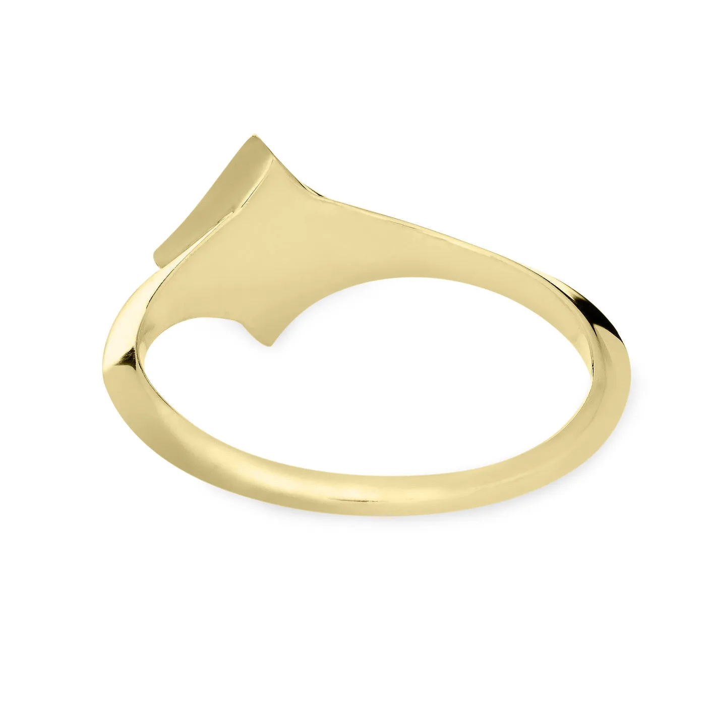 Luminary Cremation Ring in 14K Yellow Gold