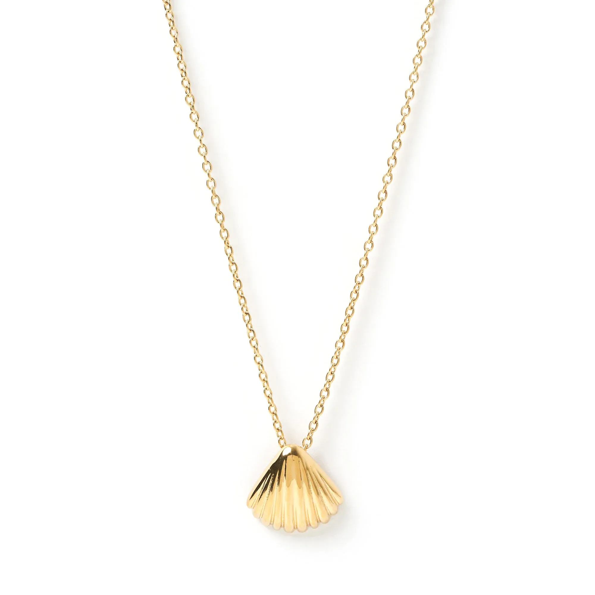 Perla Gold Shell Necklace by Arms of Eve