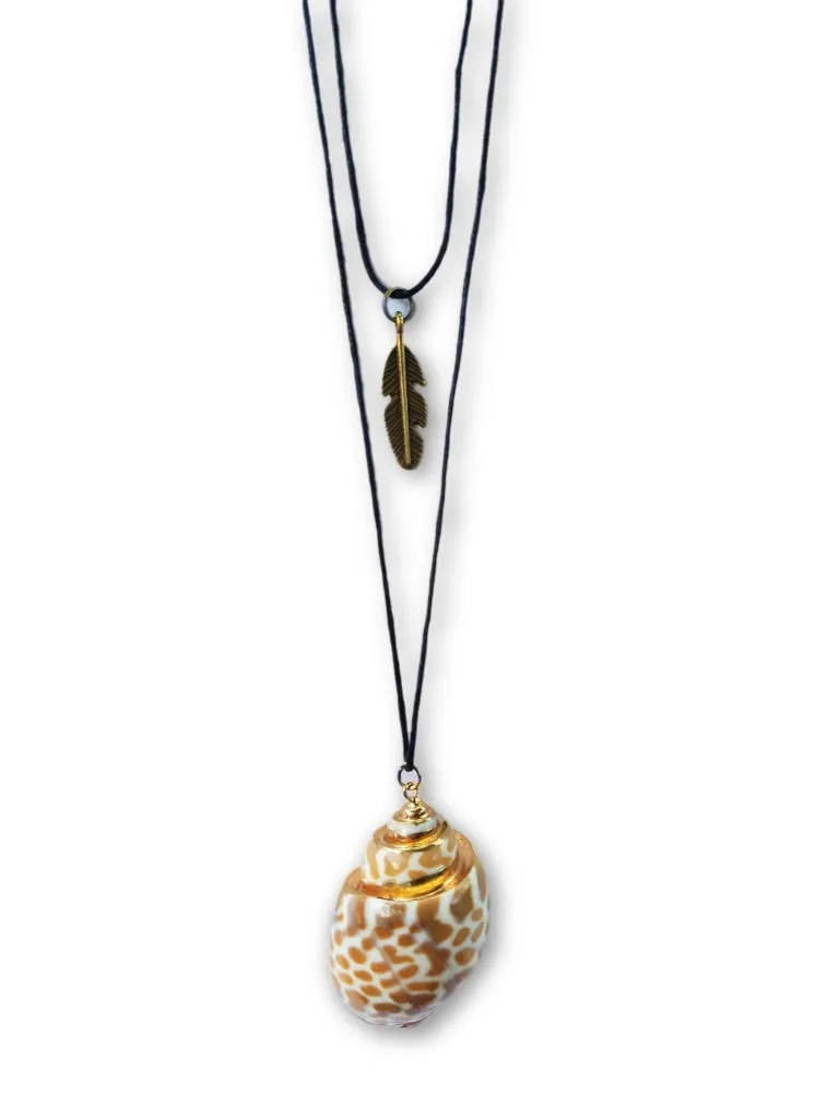 Seashell