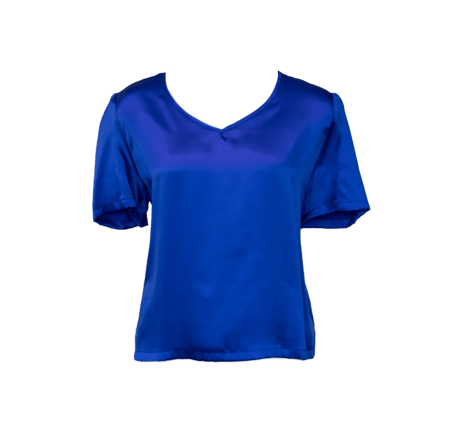 Shining V-Neck Blouse in Blue