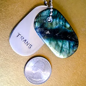 Talisman of Labradorite and Silver "TRANS" Stamped Goddess Tag Necklace