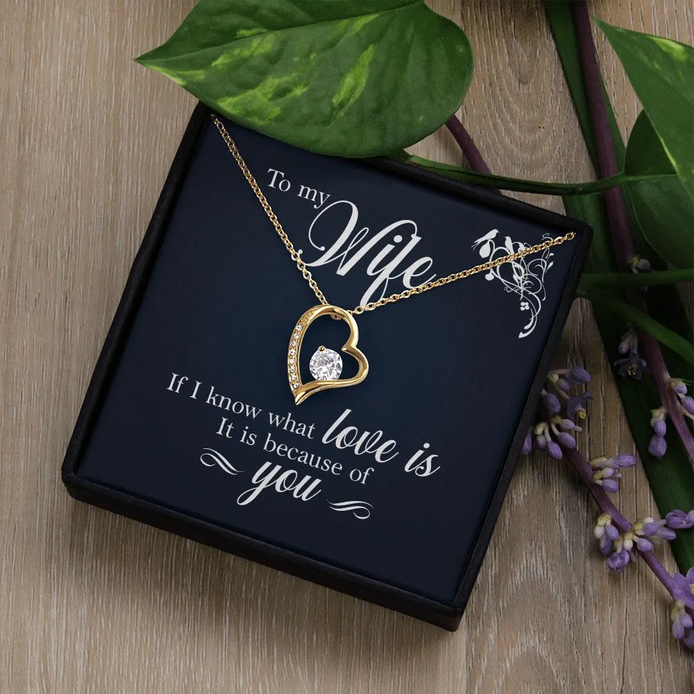 To My Wife - If I Know What Love Is It Is Because of You