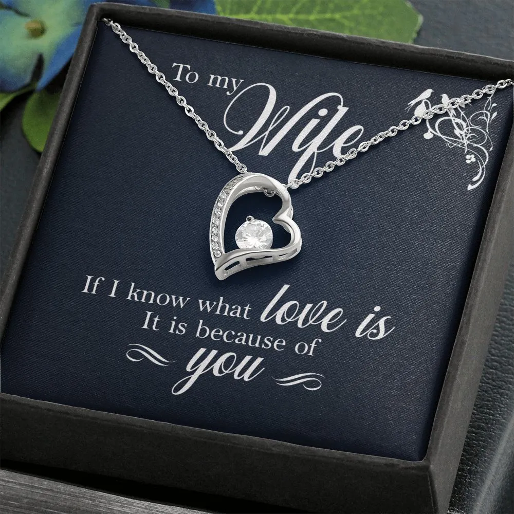 To My Wife - If I Know What Love Is It Is Because of You