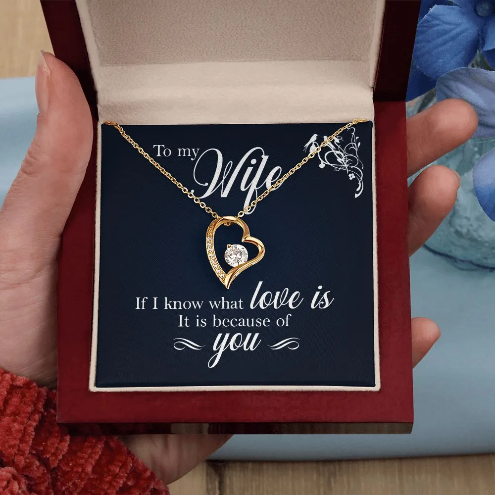 To My Wife - If I Know What Love Is It Is Because of You