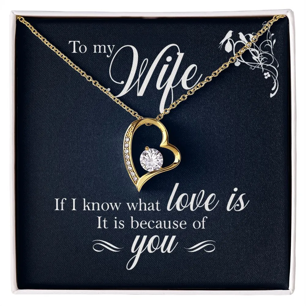 To My Wife - If I Know What Love Is It Is Because of You