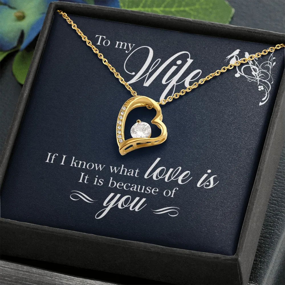 To My Wife - If I Know What Love Is It Is Because of You
